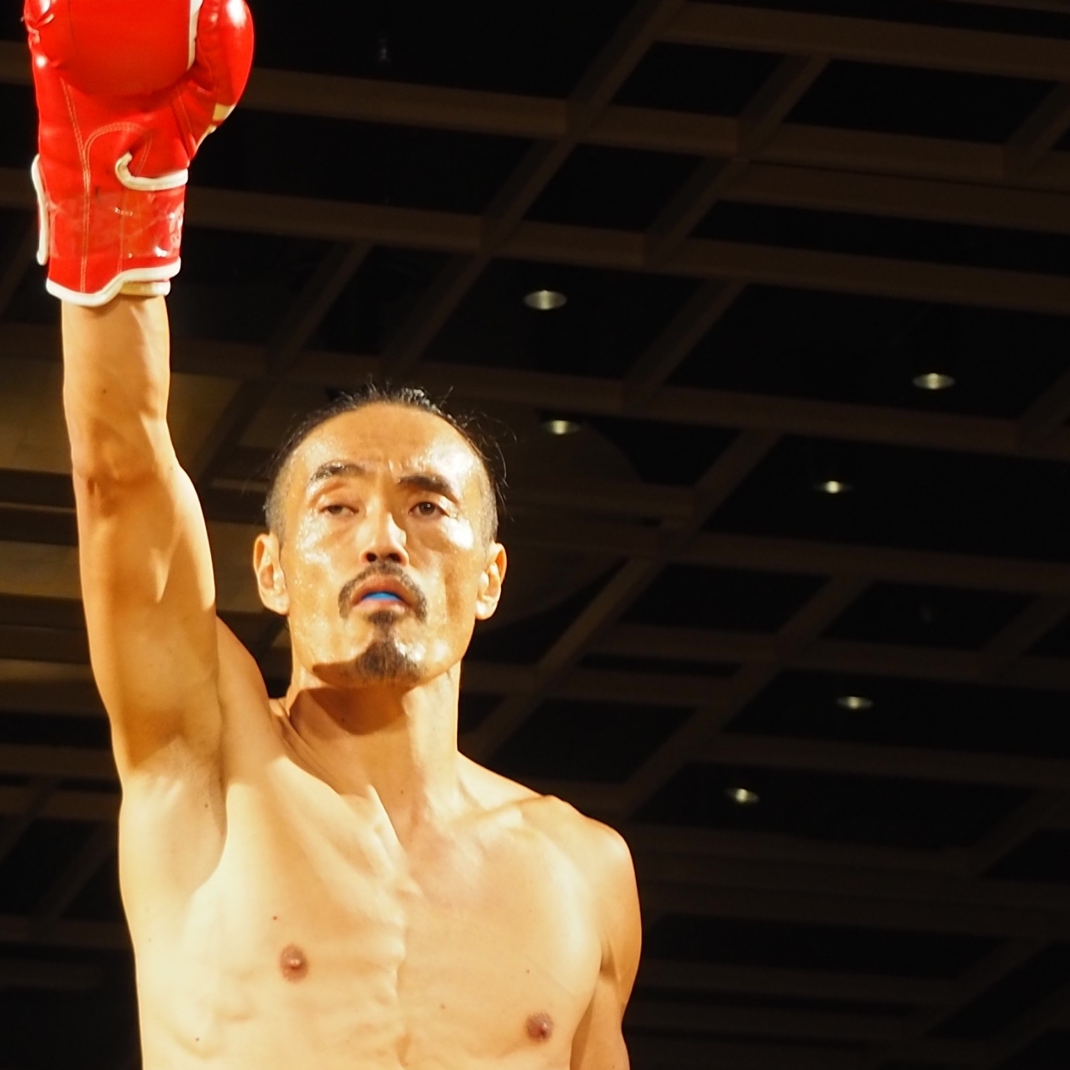 安彦 考真 ワクセル Official Web Site