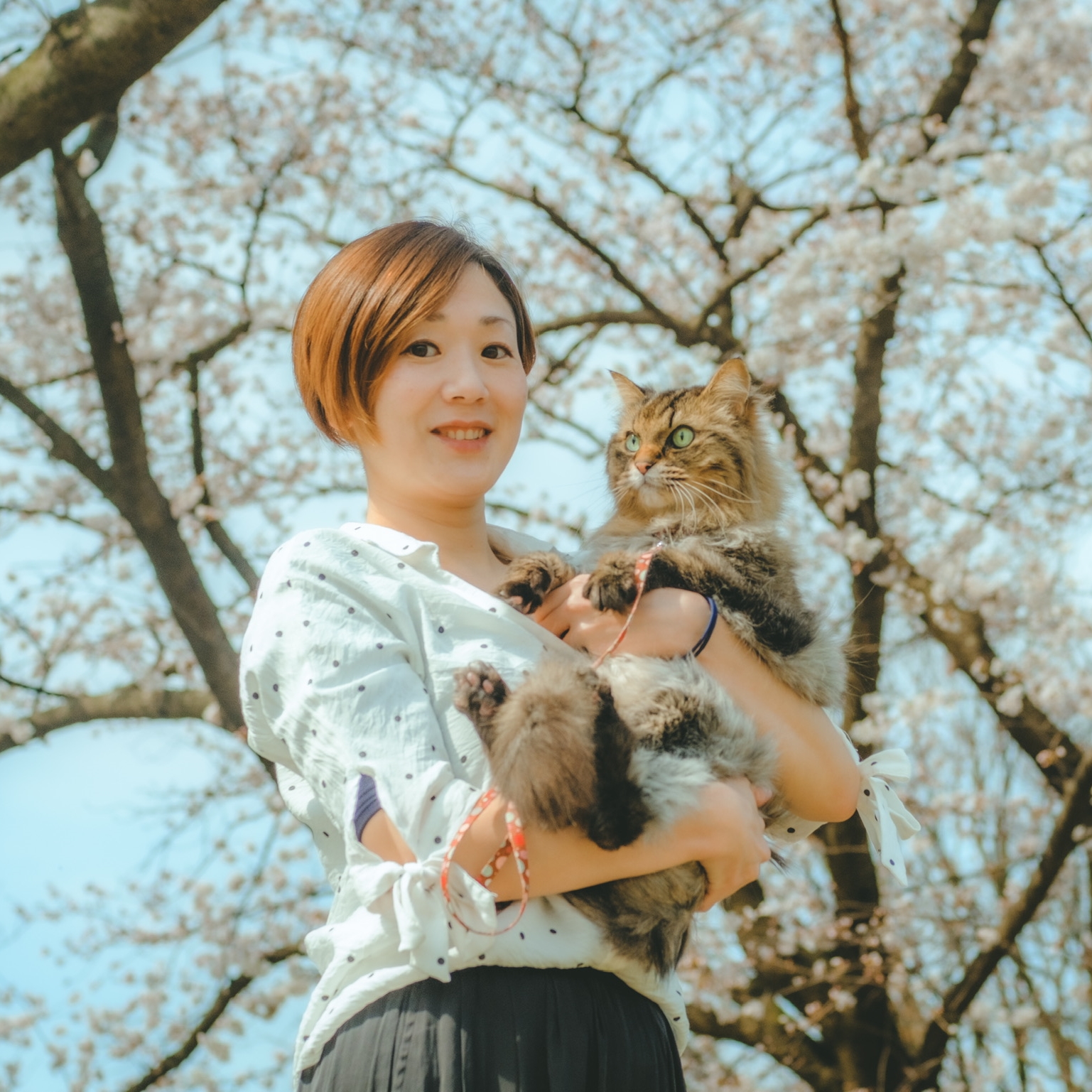 岡田 京子 | ワクセル Official Web Site