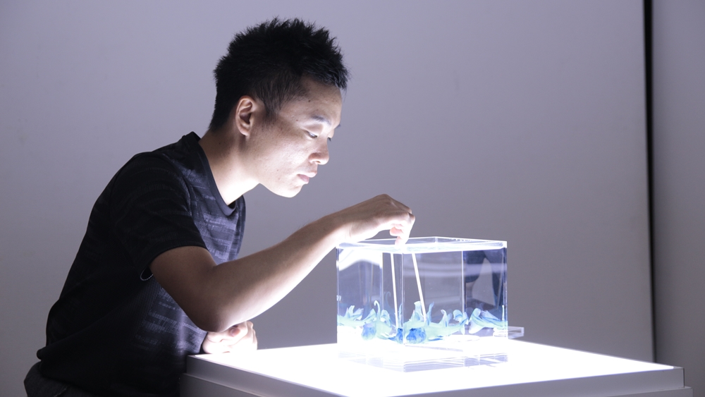 冨田伊織(とみたいおり)さんの「新世界『透明標本』展」が日立シビックセンターにて開催