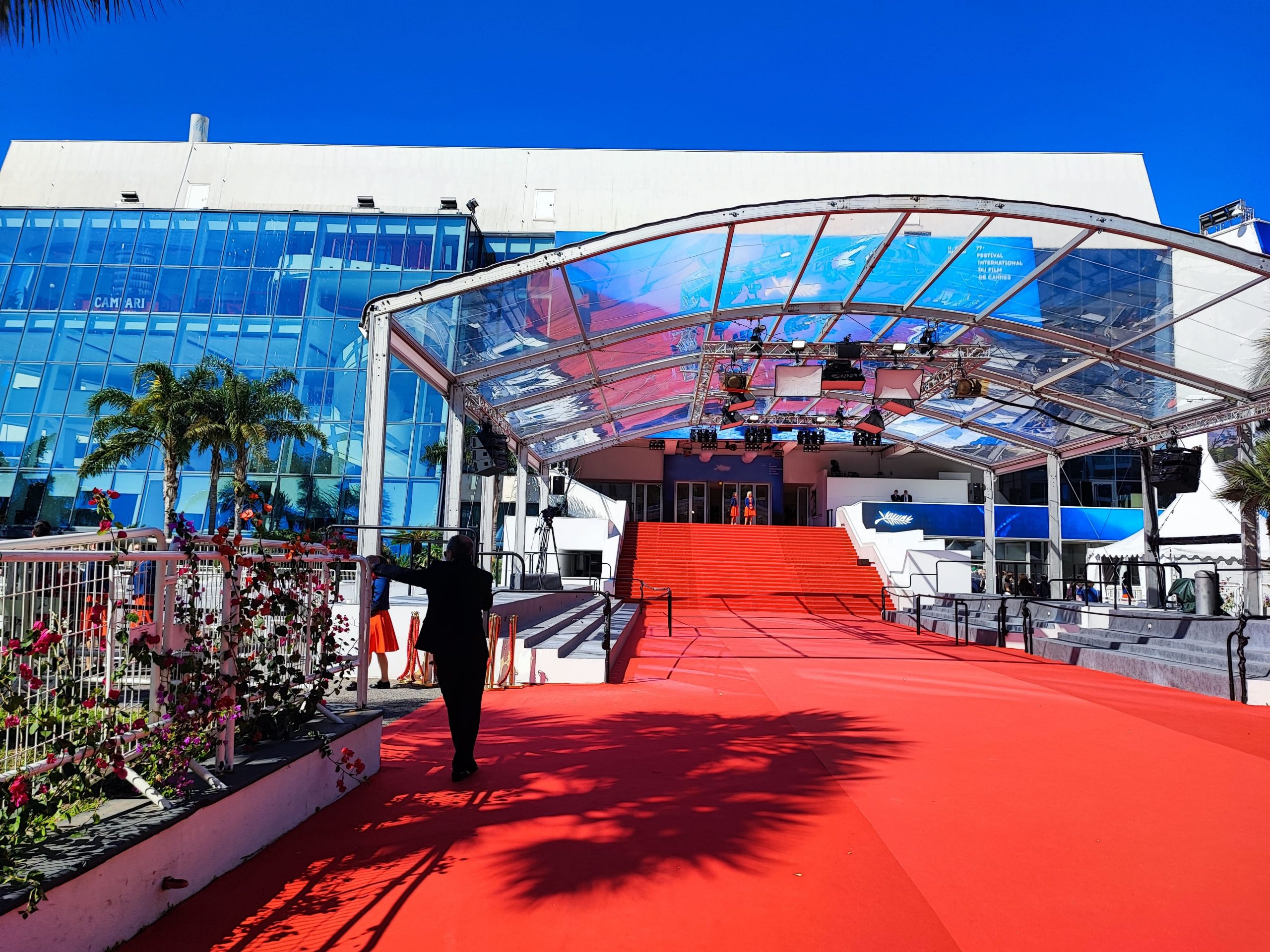 ワクセル
映画
嶋村吉洋
カンヌ国際映画祭