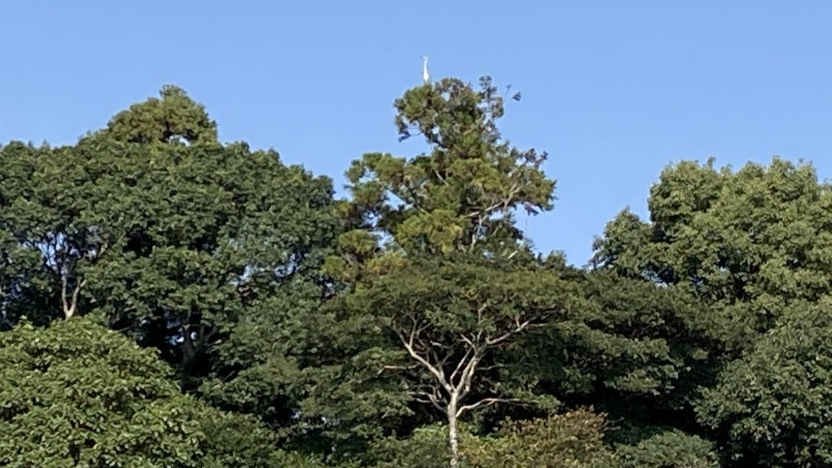見出し２画像_嶋村吉洋社長が主催するワクセルのコラム_  飯髙裕子さん.jpg