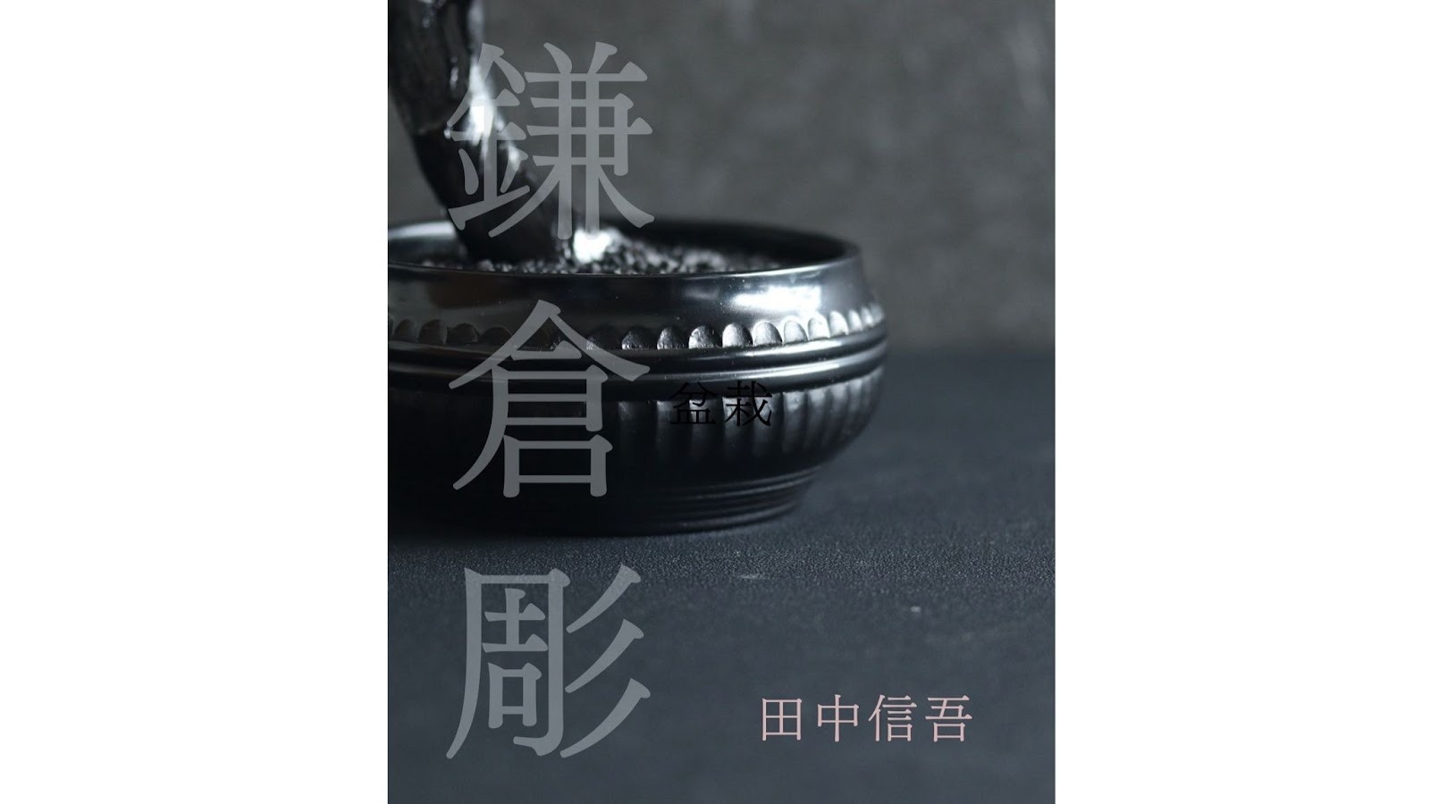 見出し5画像_嶋村吉洋社長が主催するワクセルのコラム_岸本千絵さん.jpg