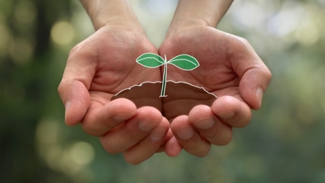 見出し5画像_嶋村吉洋社長が主催するワクセルのコラム_高松 陽子さん.jpg