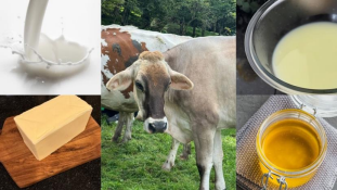 見出し2画像_嶋村吉洋社長が主催するワクセルのコラム_ アーユルせいかつさん.jpg