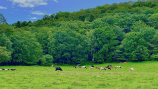 見出し1画像_嶋村吉洋社長が主催するワクセルのコラム_ アーユルせいかつさん.jpg