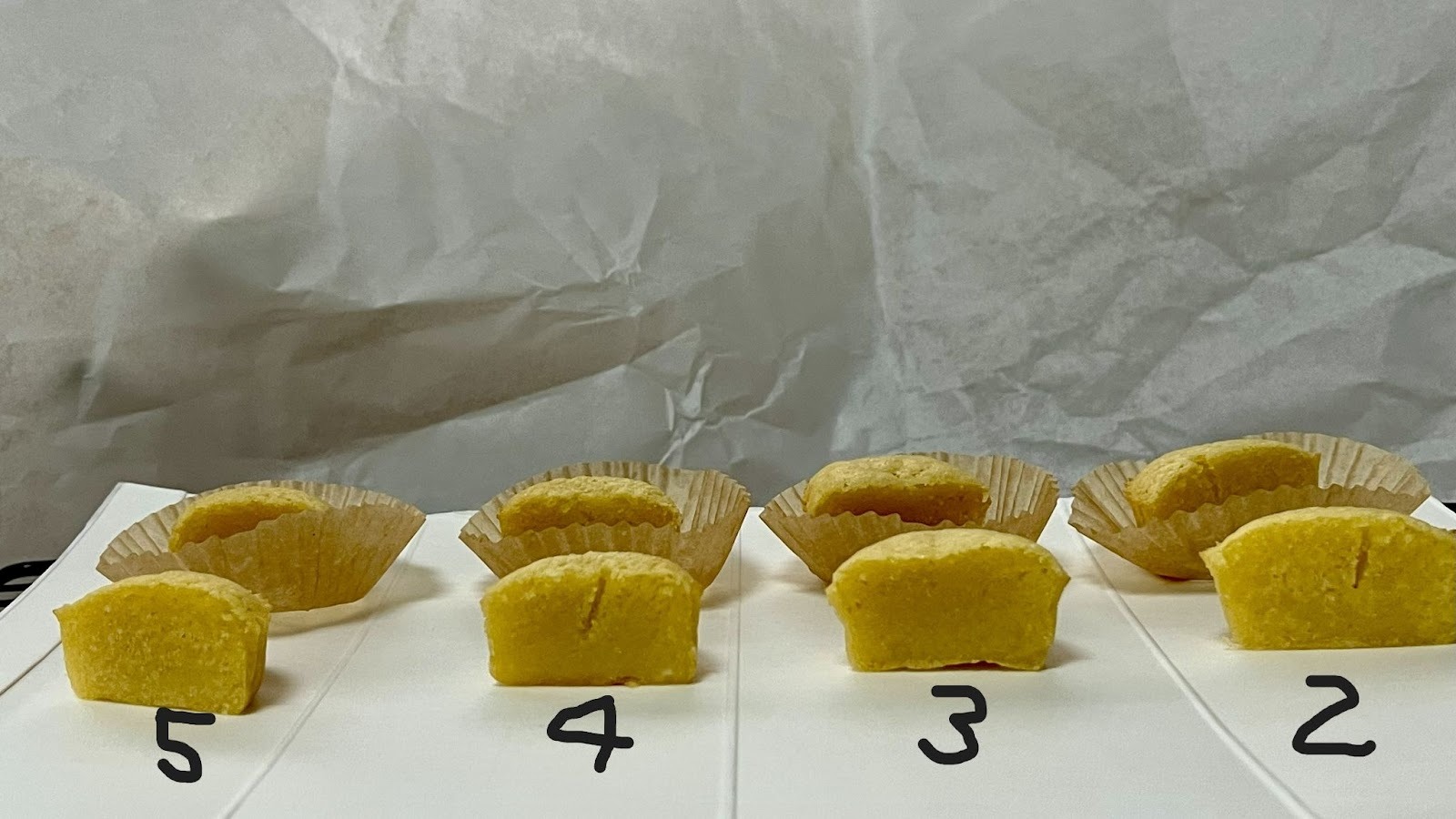 見出し3画像_嶋村吉洋社長が主催するワクセルのコラム_ 飯髙裕子さん.jpg