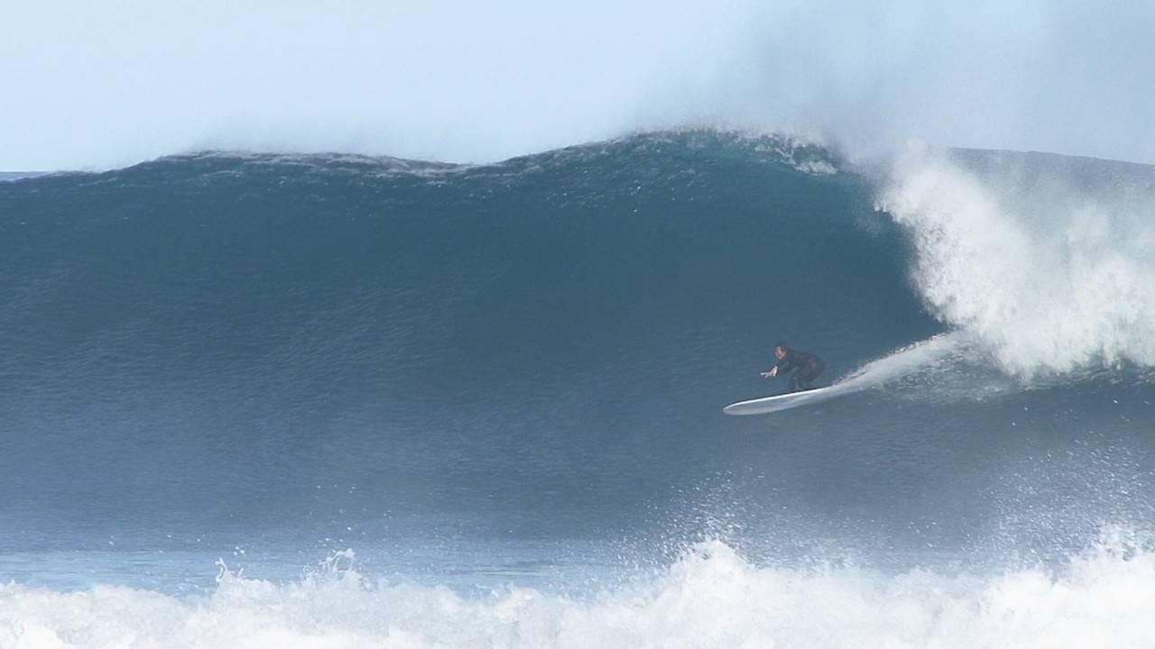 見出し2画像_嶋村吉洋社長が主催するワクセルのコラム_ 井上 鷹さん.jpg