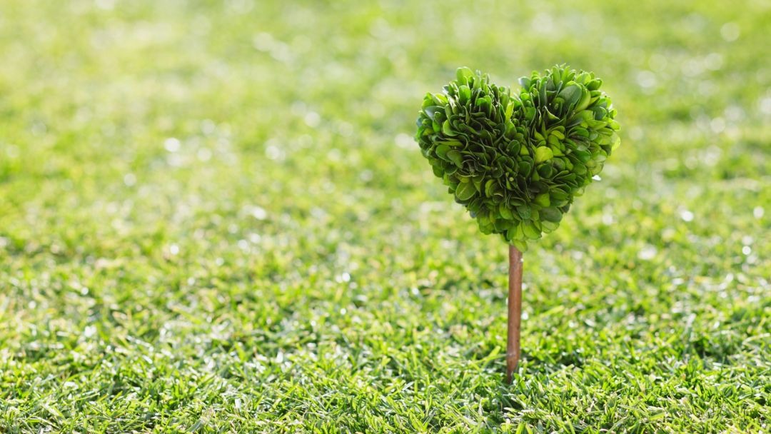 見出し3画像_嶋村吉洋社長が主催するワクセルのコラム_あい_劣等コンプレックス