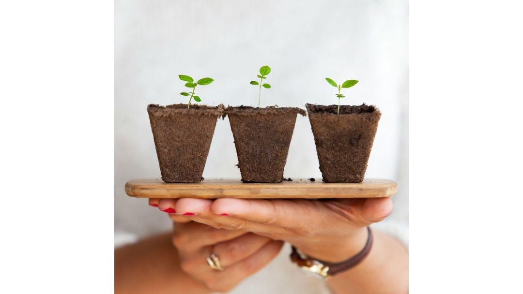 見出し5画像_嶋村吉洋社長が主催するワクセルのコラム_楠橋未来_姿勢が問われる