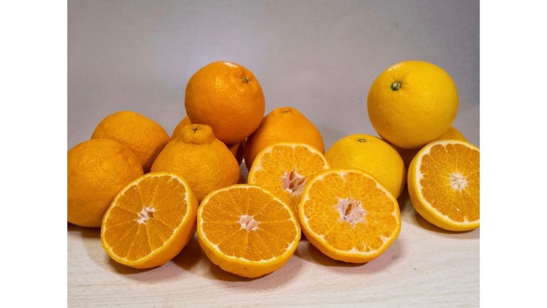 見出し1画像_嶋村吉洋社長が主催するワクセルのコラム_弓削勇雄_オリジナル商品