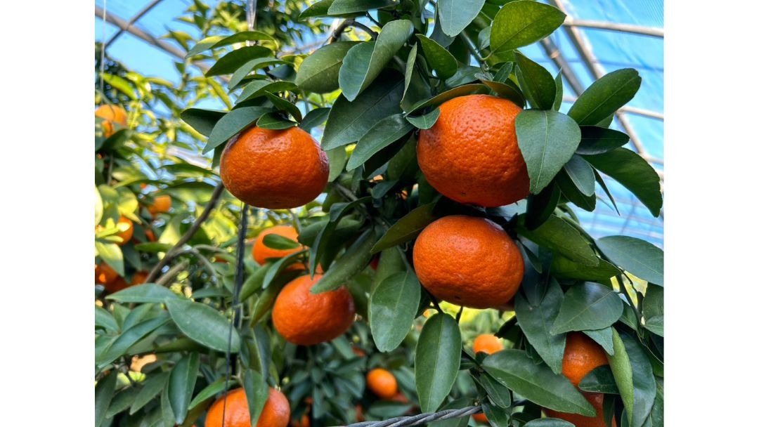 見出し2画像_嶋村吉洋社長が主催するワクセルのコラム_弓削勇雄_過酷な環境