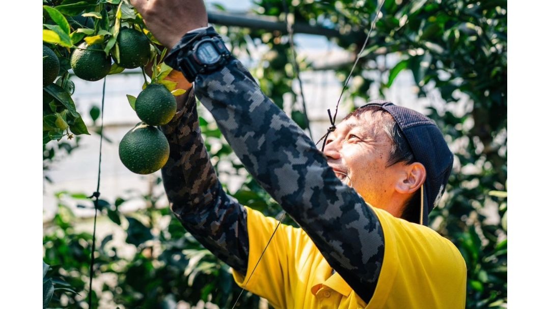 見出し3画像_嶋村吉洋社長が主催するワクセルのコラム_弓削勇雄_農業のテーマパーク