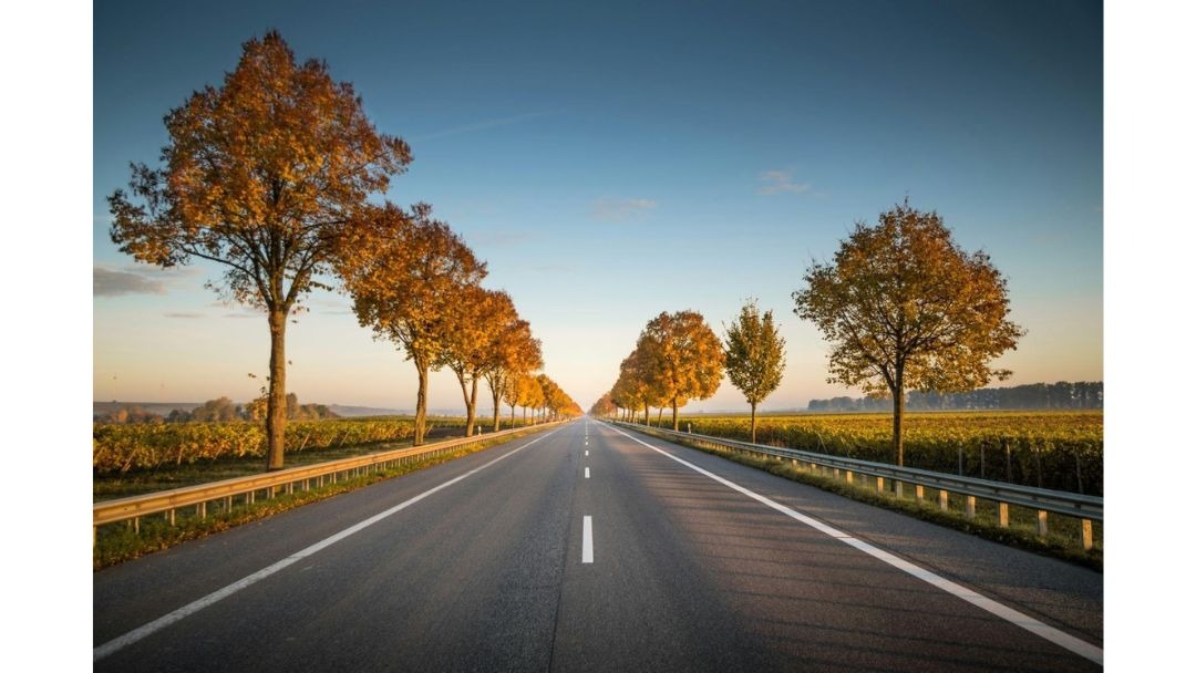 見出し3画像_嶋村吉洋社長が主催するワクセルのコラム_楠橋未来_タイミング