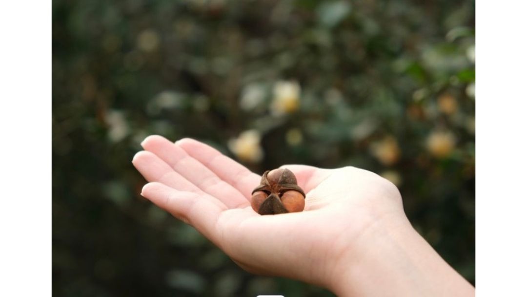 見出し3画像_嶋村吉洋社長が主催するワクセルのコラム_吉田明美_食事もサポート