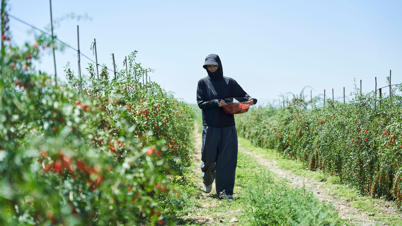見出し4画像_嶋村吉洋社長が主催するワクセルのコラム_野々口明瞳さん