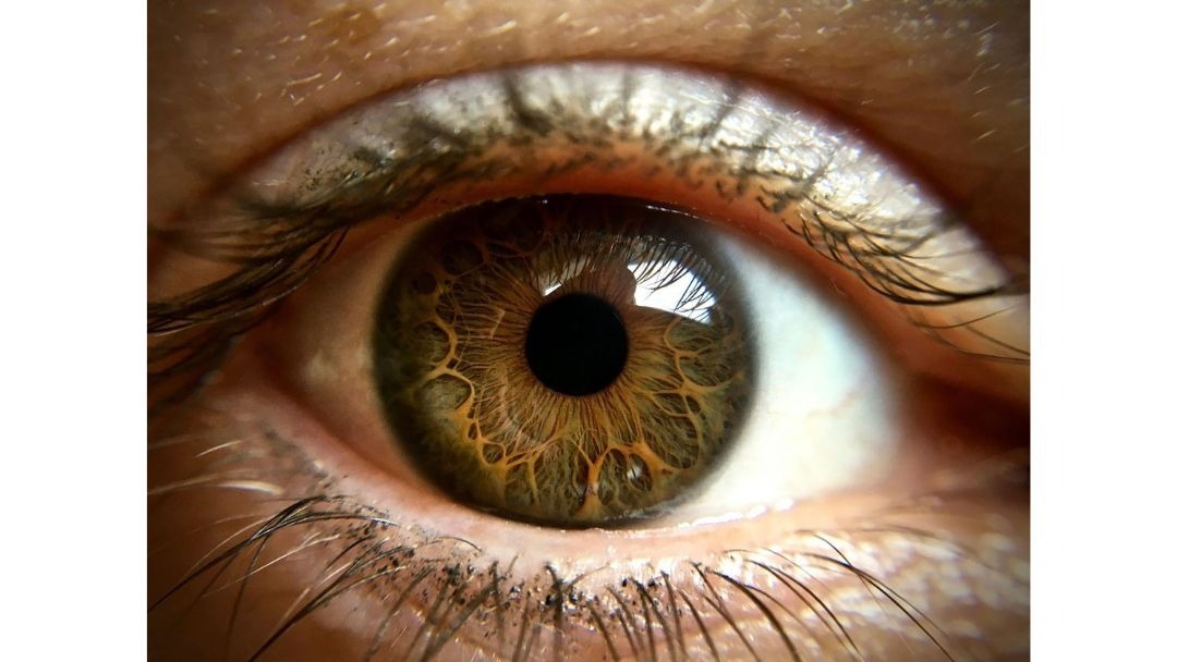 見出し2画像_嶋村吉洋社長が主催するワクセルのコラム_楠橋未来_共通言語