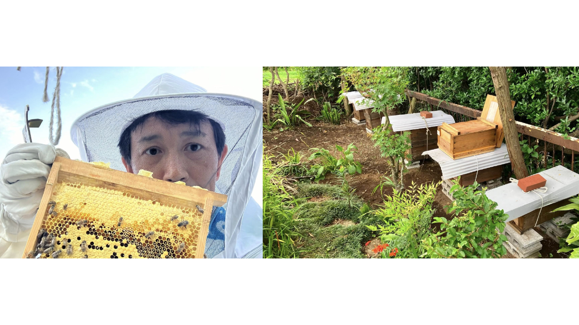 見出し4画像_嶋村吉洋社長が主催するワクセルのコラム_川崎拓己さん