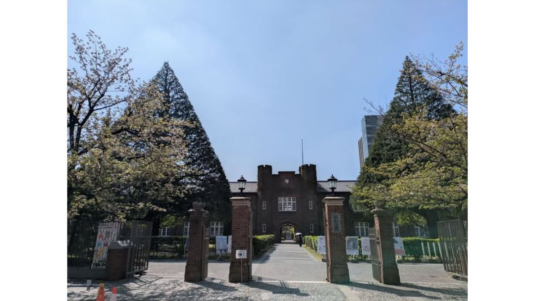 見出し5画像嶋村吉洋社長が主催するワクセルのコラム_岡田 慶子_続く活動
